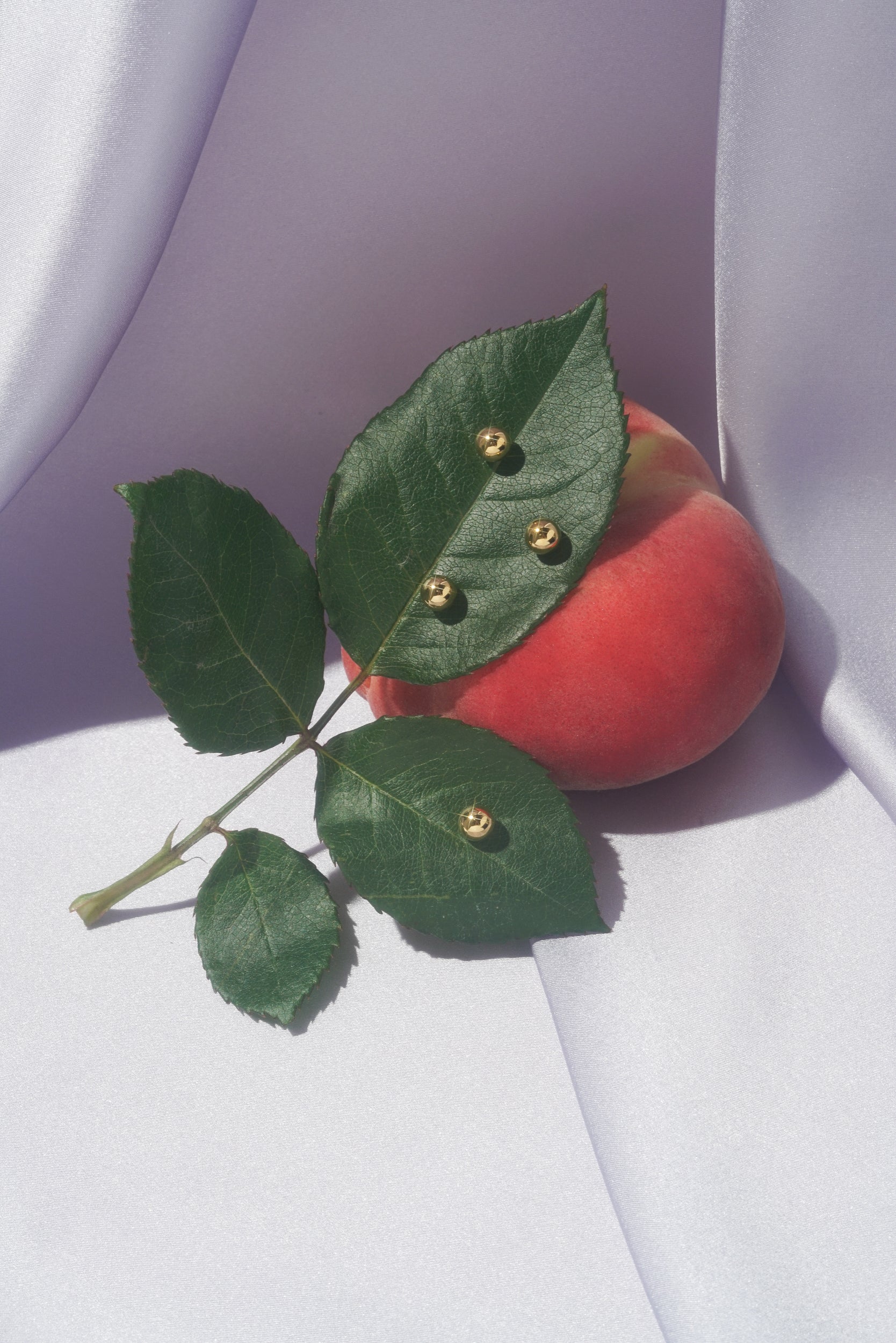 Neptune Stud (Single) - Image 7